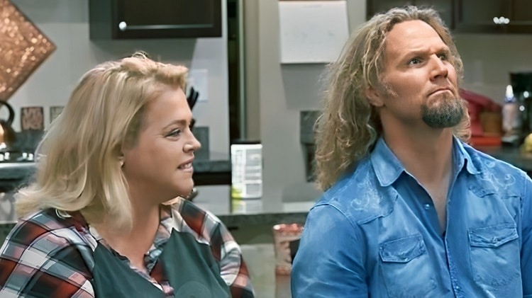 Sister Wives: Janelle Brown - Kody Brown
